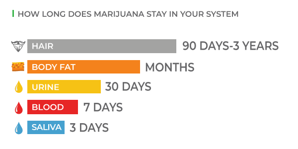 how long does marijuana stay in your system chart